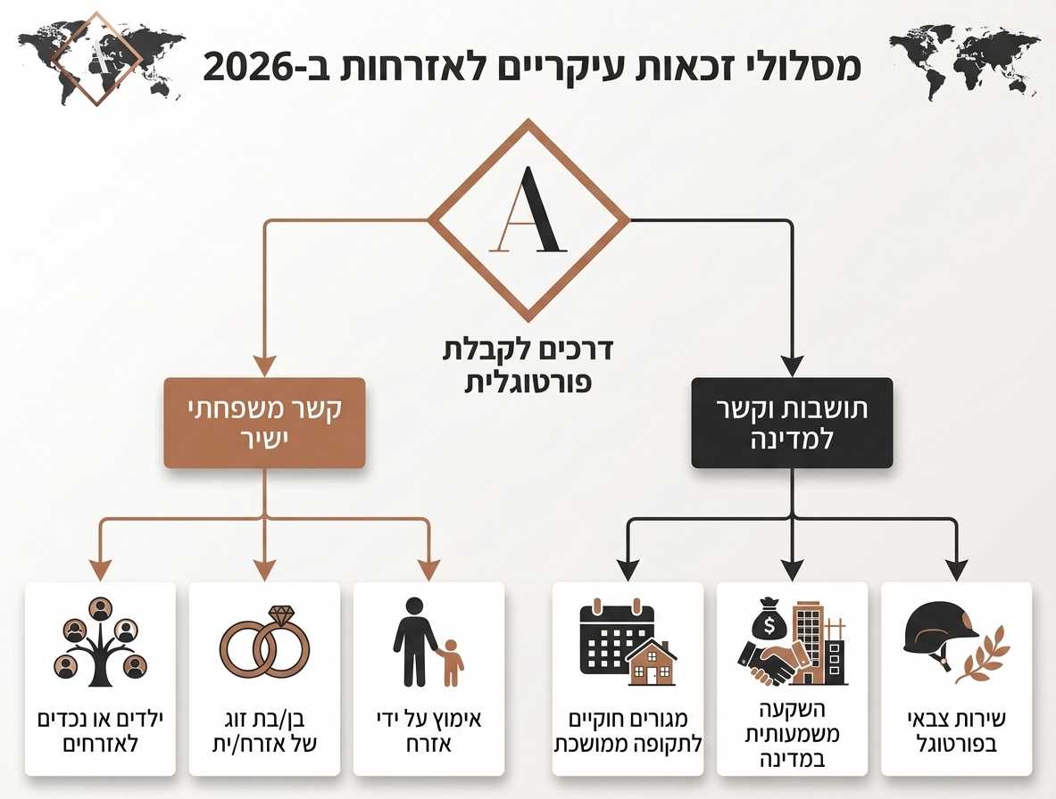 אינפוגרפיקה