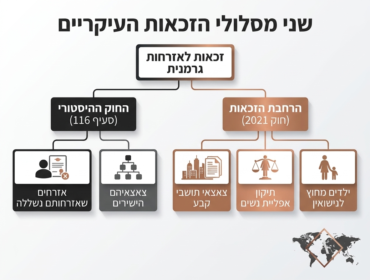 אינפוגרפיקה