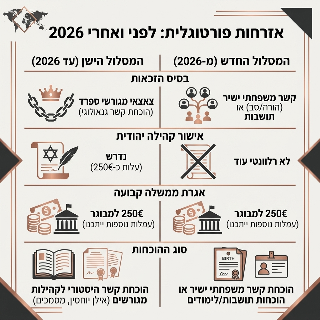 אינפוגרפיקה
