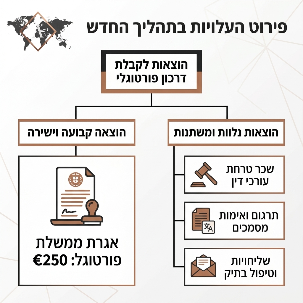 אינפוגרפיקה