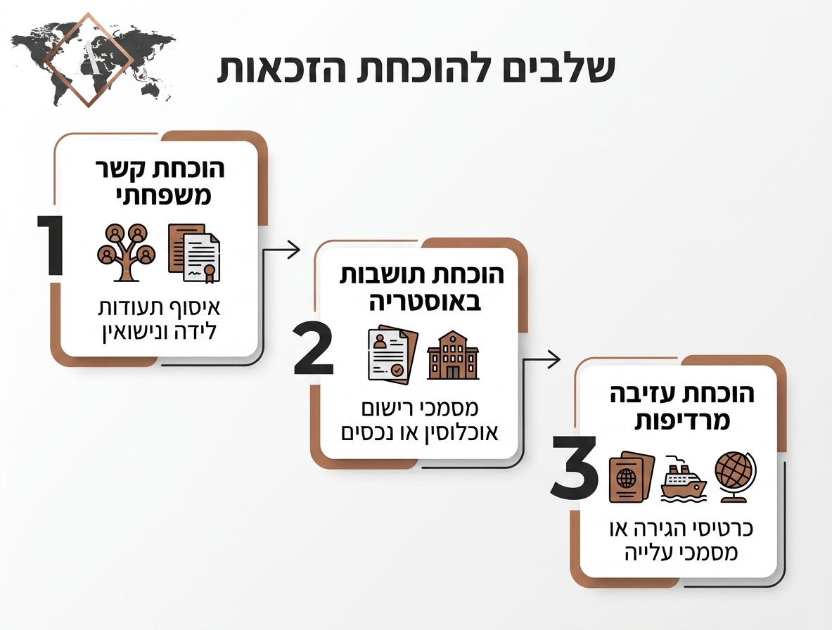 אינפוגרפיקה