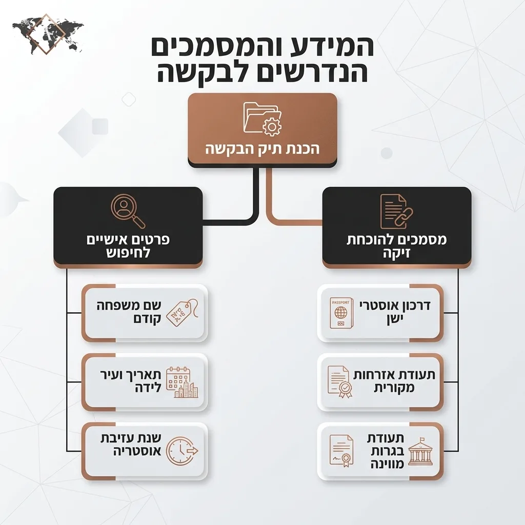 אינפוגרפיקה — המידע והמסמכים הנדרשים לבקשה: הכנת תיק הבקשה